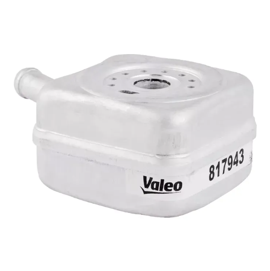 Enfriador de Aceite de Motor. Audi A4 2001-2004